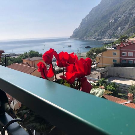 Il Sogno Di Contardi A Affittacamere Monterosso al Mare Eksteriør bilde